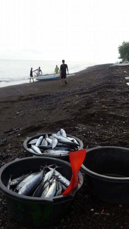 Alur Beach Homestay Amed Kültér fotó