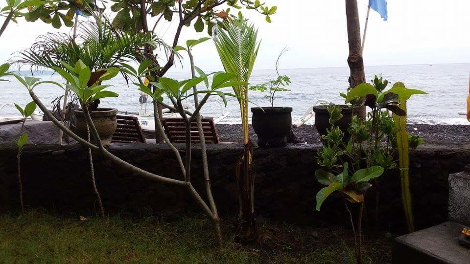 Alur Beach Homestay Amed Kültér fotó